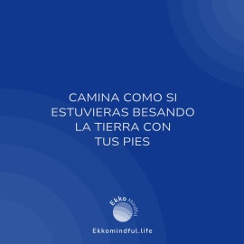 Camina como si estuvieras besando la tierra con tus pies - https://ekkomindful.lat/article/4/camina-como-si-estuvieras-besando-la-tierra-con-tus-pies