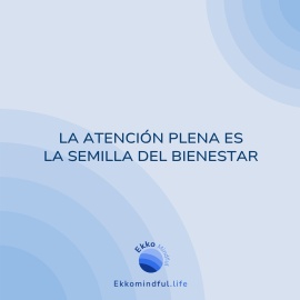 La atención plena es la semilla del bienestar - https://ekkomindful.lat/article/98/la-atencion-plena-es-la-semilla-del-bienestar