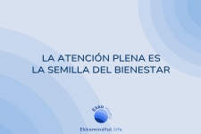 La atención plena es la semilla del bienestar